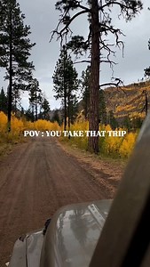 Send this to someone you need to take that trip with! It is truly a unique experience during the fall seasons up here in the White Mountains of Arizona. The next few weeks are going to be golden magic! 😍🤩 #visitpinetoplakeside #visitarizona #whitemountainsaz #exploreaz #w2az #aztourism #arizonahighways #arizonahikersguide #see_arizona #puresouthwest #bestofthegrandcanyonstate | Visit Pinetop-Lakeside, AZ
