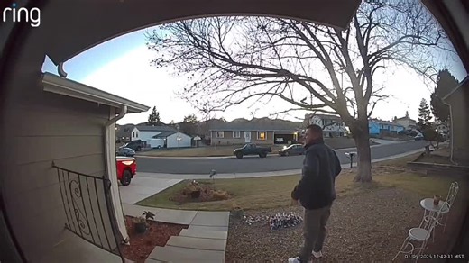 Fluent in Flatulence: The Art of Farting