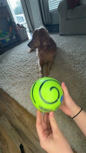 Wobble Wag Giggle Ball