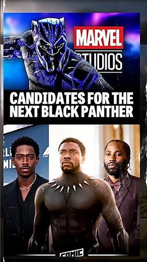 Who Should Be the Next Black Panther? MCU Fans React to New Casting Rumors