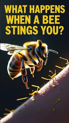 What Happens When a Bee Stings You The Shocking Truth!