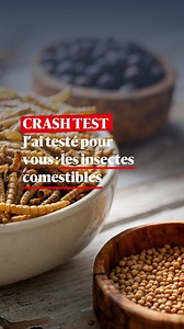 1.8K views | Aujourd’hui, je teste pour vous… les insectes comestibles, belle source de protéines et de fibres. La France est championne de la production pour la consommation mais plutôt à destination des animaux. | Le JSL | Facebook