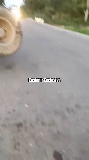 101 reactions · 16 shares | Reportedly Accident.... 71 sheep died according to the viral video | Kashmir Exclusive | Facebook