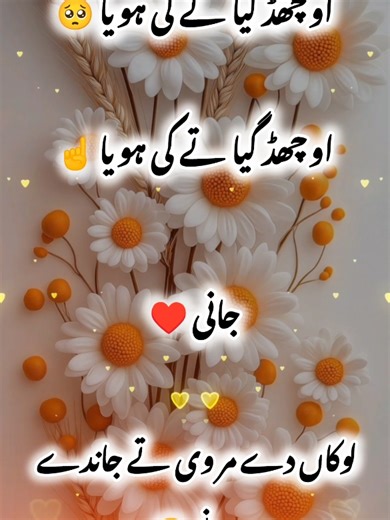 Essential Tips for TikTok Success