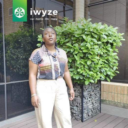 Time to spring clean your insurance knowledge! Be upfront with your info, stay responsible, and check your policy to avoid surprises and enjoy peace of mind. Bundle your car and home insurance with iWYZE today: https://iwyze.co/3HV82qs #WYZEDictionary | iWYZE