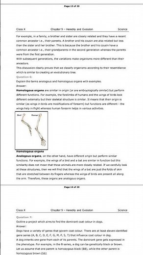 biology class 10 cbse chapter 4 hereditary and evolution ncert solution