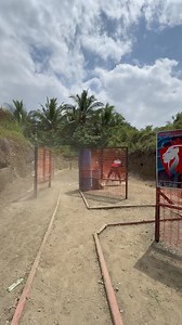 Chairman’s Cup 2024 (PCC Optics) 🥇🏆 The Gunstore Stone of David Corporation CHAMP GRIP Enhancer Robert's Special Gun Oil LOK Grips | Renbert Gustilo