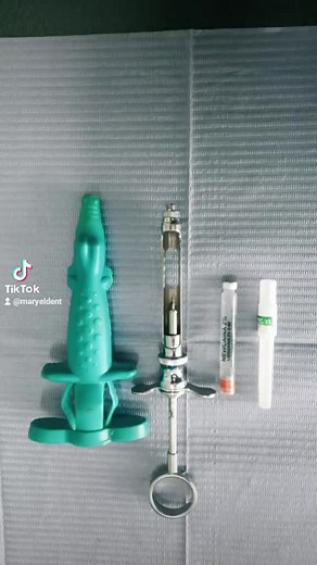 Maryel Dent on TikTok