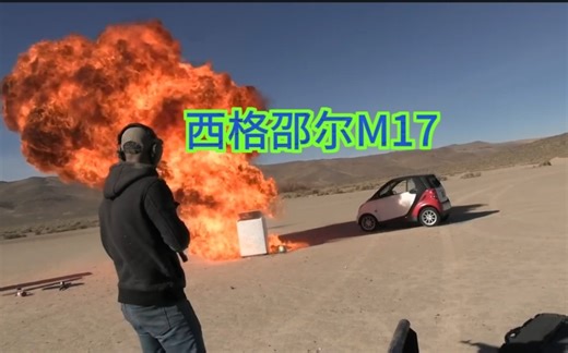 美军制式武器西格邵尔M17半自动手枪