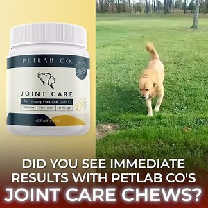 Most Petlab Co customers report seeing amazing joint mobility improvement in month 2, find out about our incredible subscribe & save offers available today! | PetLab Co.