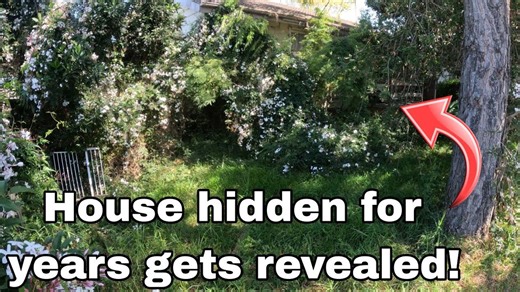 Amazon Jungle… or Just a Front Yard? Extreme Yard Clean-Up!