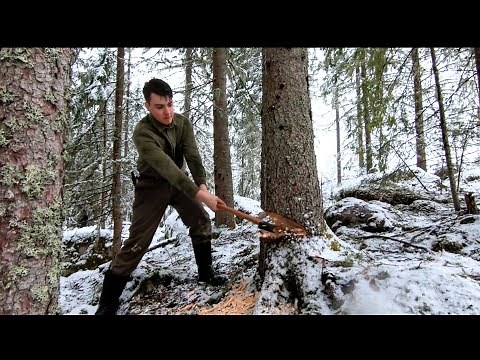 Cutting Down Trees for Log Cabin - Axe Logging | 9.0 | - One Man Traditional Log Cabin series