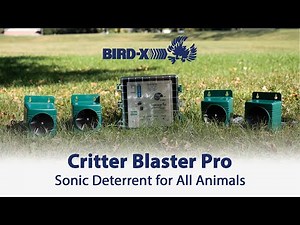 Critter Blaster Pro: Sonic Deterrent for All Animal Control