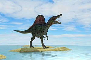 What Is The Spinosaurus Related To? The Surprising Fossil Evidence | Adventure Dinosaurs