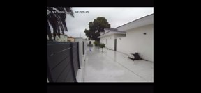 Palm tree snaps and drops onto a house in high winds
