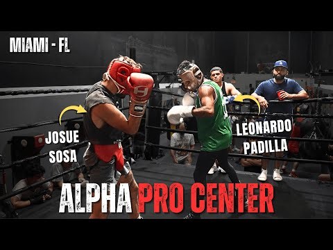 ALPHA PRO CENTER! Pure Skill Sparring With TOUGH Miami Boxers!
