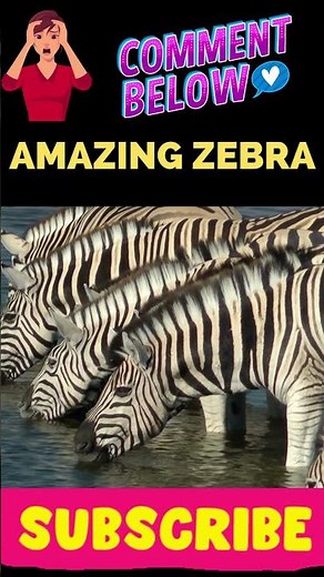 Facts about Animals|Amazing Facts|#shorts #ytshorts #animals