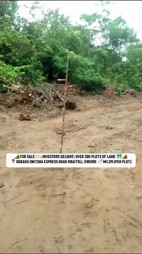 Owerri Agent Realty on TikTok