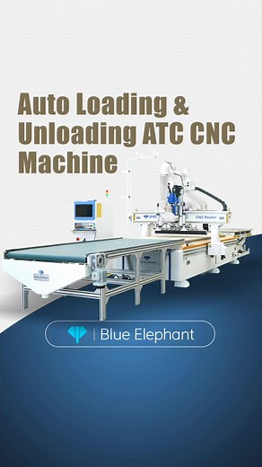 jinanblueelephant on TikTok