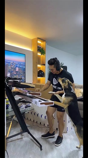 Ya es fin de semana y Chencho lo sabe😂 #musicos #tecladista #sondelduke #arturia #korg