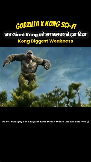 Giant King Kong vs Crocodile | Godzilla x Kong New Empire Hindi #shorts