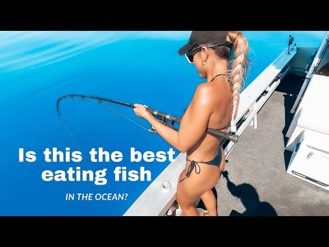 Deep Sea Fish vs Fish Huntress Amy | Is this the best fish in the ocean for eating?
