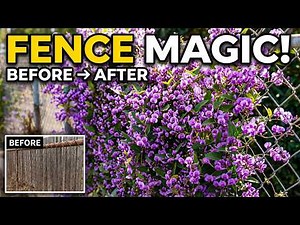 Tired of Ugly Fences? 10 Vines That Fix It