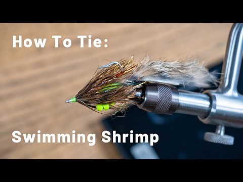 How To Tie: A Swimming Shrimp Fly Pattern | A Perfect Search Pattern