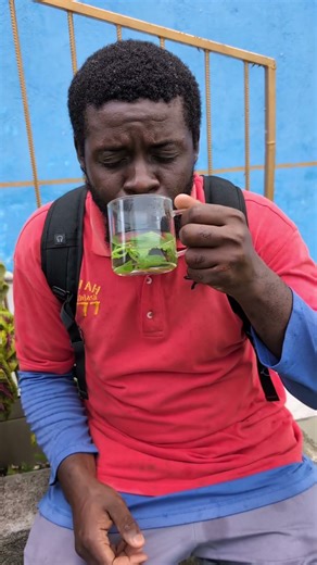 How to make the best blue vervain and Cuban oregano tea?