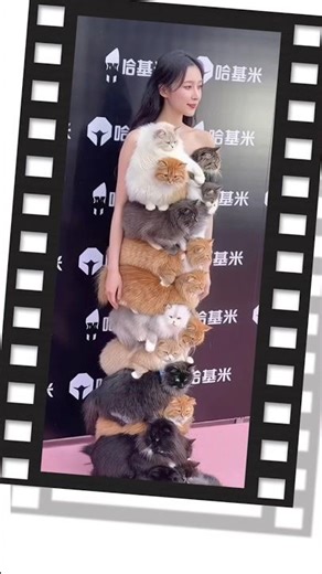 This Fashion Show is Absolutely Crazy 🐱 #shorts #fashion #viral