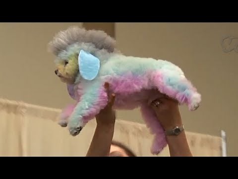 Dog Grooming Expo! | The Cute Show