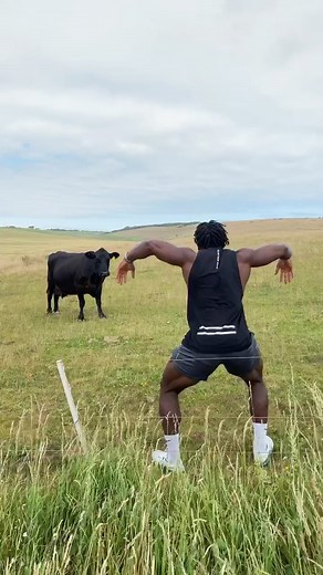 Funny Cow TikTok Video Compilation