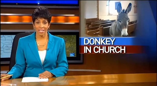 Donkey Wanders Into Sunday Service, Becomes Accidental Sermon Illustration Parishioners at a small rural church got more than they bargained for Sunday morning when a donkey casually walked through the open front doors mid-service and took a few curious steps down the center aisle. According to church members, the donkey—believed to have wandered from a nearby pasture—entered quietly and stood near the front pews as if it knew exactly where it was going. The unexpected guest drew gasps, laughter