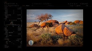 Unlocking the Power of Capture One - Online Photography Course