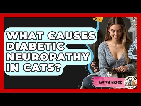 What Causes Diabetic Neuropathy In Cats? - Happy Cat Handbook