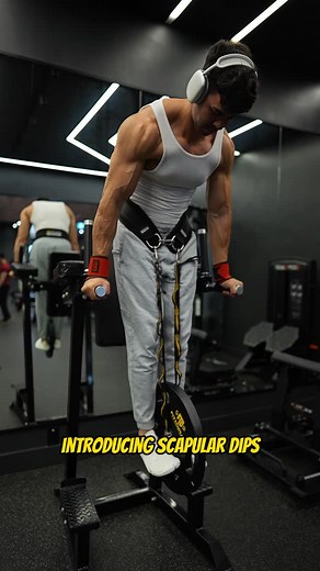 Ryan Maclellan on Instagram: "Scapular Dips Tutorial 👨‍🏫 💪 Mastering these will provide you with more overall dip strength & resilient shoulders. ☝️ They are really to awkward learn at first as conventional fitness routines don’t include scapular movements. 🙅‍♂️ But because they aren’t included, these muscles are usually very weak and under utilized which can contribute a lot of issues (tightness, knots, weakness, etc). 📈 Try and progress them each week by increasing the range of motion, ad