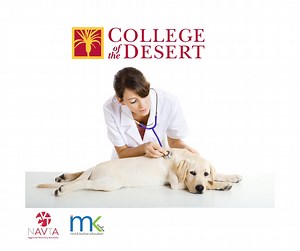 College of the Desert Veterinary Assistant Program Winter 2020