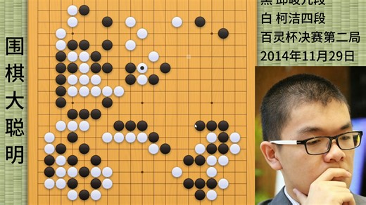 柯洁冠军之路2：酷烈的劫争