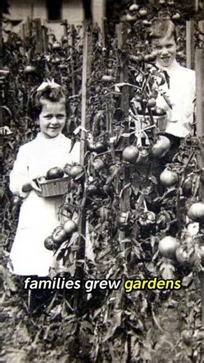 Life During the Great Depression 1930s