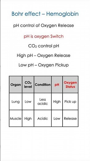 Aromaticity in Organic Chemistry | Hückel’s Rule Made Simple | NEET JEE | NET | GATE
