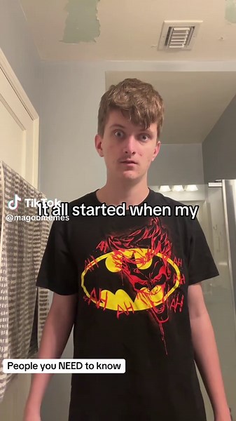 It All Started When My Lovity Met My Falsity — Verity Meme Lyrics