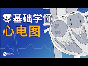 零基础学懂心电图 ｜ Electrocardiography (ECG/EKG) Basic