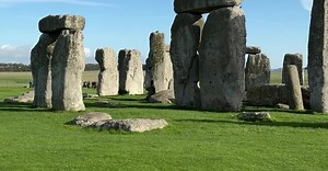 Pexels Stephan Leuzinger视频