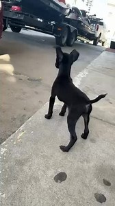 31K views · 18 reactions | Wichita Police Department on Reels | Facebook