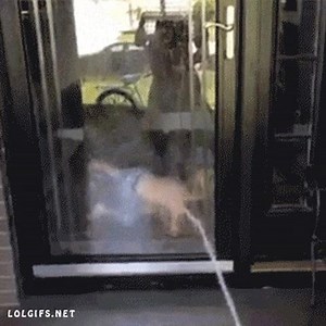 5.1K views · 54 reactions | ouch time GIF  | Funny GIFs | Facebook