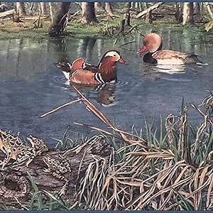 CONCORD WALLCOVERINGS ™ Wallpaper Border Country Pattern Ducks Wooden Background for Farmhouse Cottage, Green Blue Brown, 15 Feet by 9.25 Inches DesNF2002B