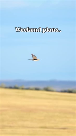 Do All Outdoors on Instagram: "Have a fun and safe weekend out in the field! 💥"