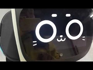 Bellabot screen manual demo show