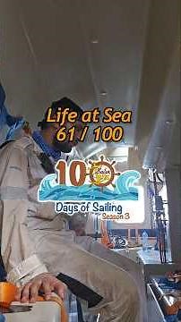 #061 Trying to avoid Danger | Sailor lens #youtubeshorts #shorts #trending