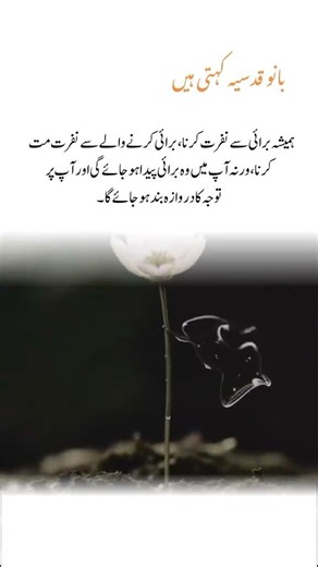 Lines 🥺🥀❤️ #song #coversong #jubinnautiyal #arijitsingh #bollywood #4line #deeplines